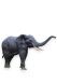 Elefant i naturlig storlek i brons - begränsad tillgänglighet