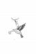 Ädelstål askhänge 'Kolibri'
