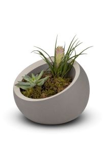 Porslinsurna ‘Terra’ - mörkgrå med vit accentlinje