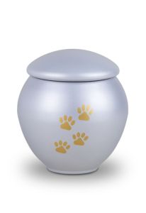 Djururna grå med guldfärgade tassar