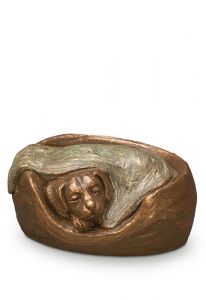 Djururna 'Sovande hund'