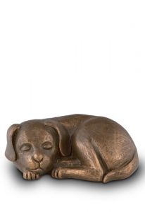 Hundurna 'Sovande hund'