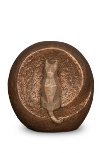Katturna 'Nyfiken'