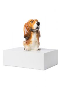 Djururna 'Normand Basset hound'