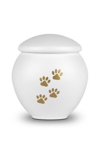 Djururna vit med guldfärgade tassar