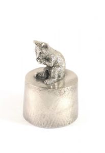 Katt sittande rakt urna silvertenn