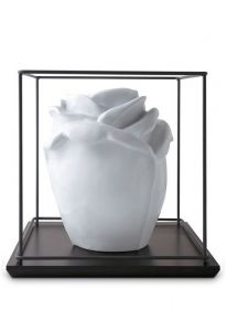 Porslinsurna 'Princess Glossy White'