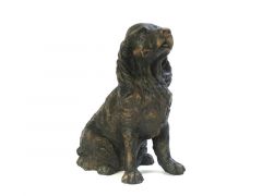 Hundurna 'Cocker Spaniel' djururna