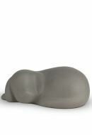 Djururna 'Sovande hund'